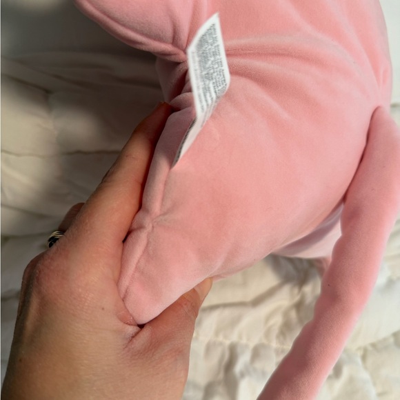 Rare Bigg Fugg sphinx cat - Picture 7 of 10